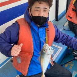 ヤザワ渡船 釣果