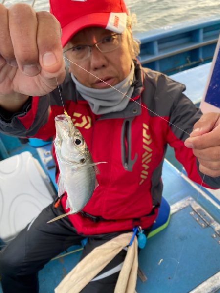 ヤザワ渡船 釣果