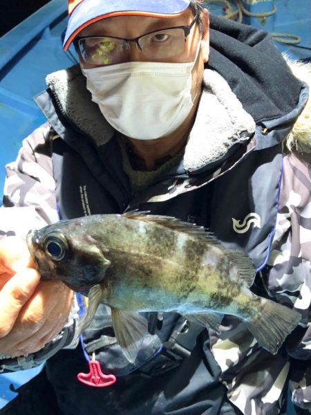 ヤザワ渡船 釣果