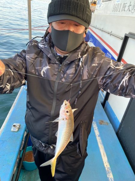 ヤザワ渡船 釣果