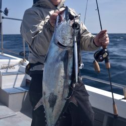 渡船屋たにぐち 釣果