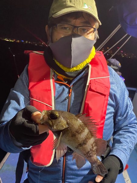 ヤザワ渡船 釣果