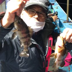 ヤザワ渡船 釣果