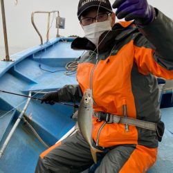 ヤザワ渡船 釣果