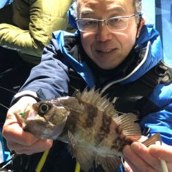 ヤザワ渡船 釣果
