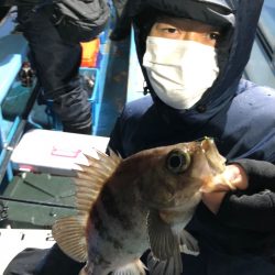 ヤザワ渡船 釣果