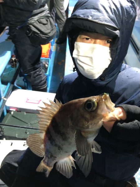 ヤザワ渡船 釣果