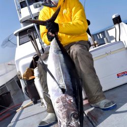 渡船屋たにぐち 釣果