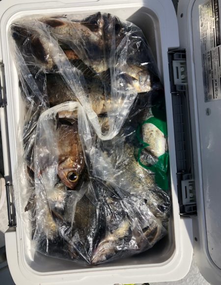 フィッシング　キッタカ 釣果