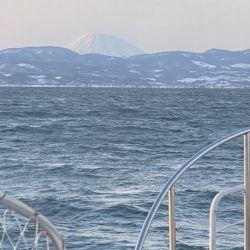 シーランチ 釣果