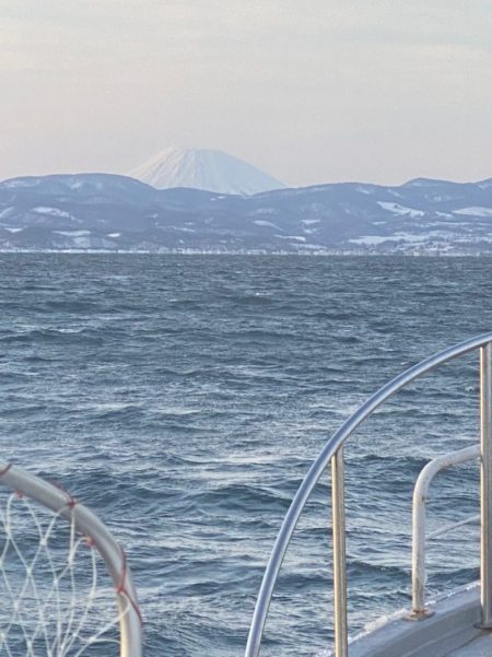 シーランチ 釣果