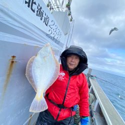 シーランチ 釣果
