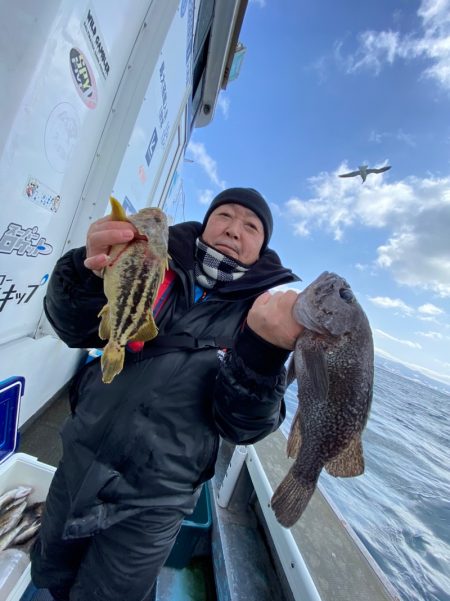 シーランチ 釣果