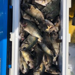 フィッシング　キッタカ 釣果