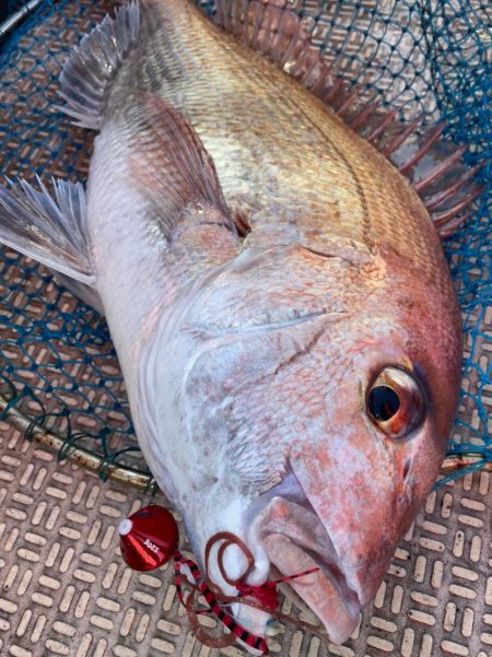 龍神丸（鹿児島） 釣果