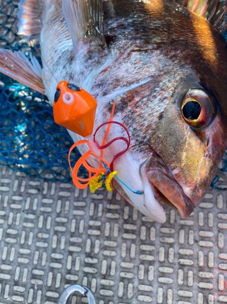 龍神丸（鹿児島） 釣果