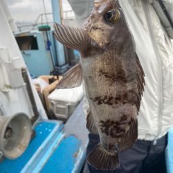 みやけ丸 釣果