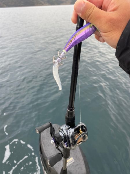 「LaGooN」蒼陽丸 日和号 釣果