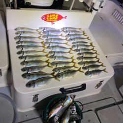 Monster Rush! 釣果