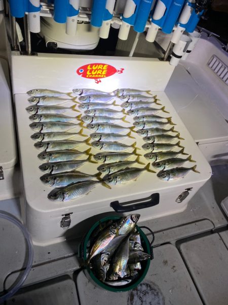 Monster Rush! 釣果