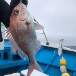太平丸 釣果