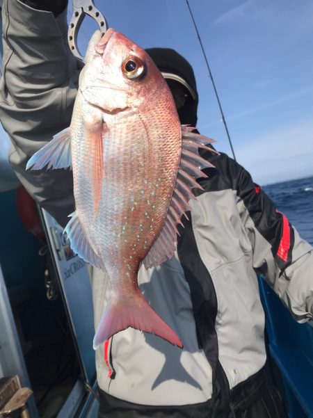太平丸 釣果