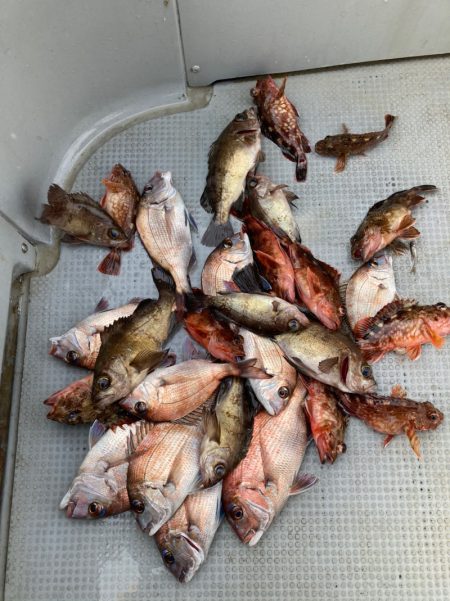 遊漁船高橋 釣果