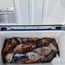 遊漁船高橋 釣果