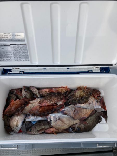 遊漁船高橋 釣果