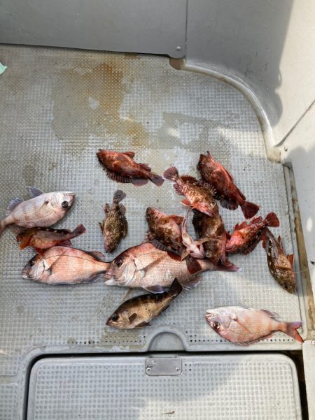 遊漁船高橋 釣果