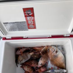 遊漁船高橋 釣果