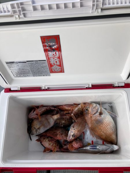 遊漁船高橋 釣果