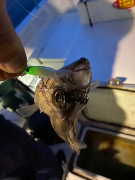 Monster Rush! 釣果