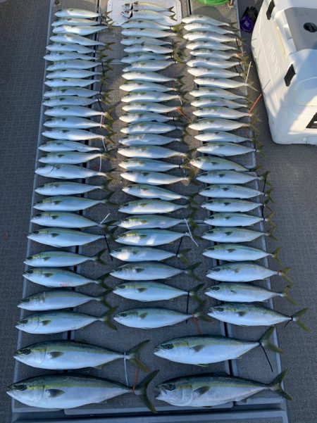 SeaRide(シーライド) 釣果