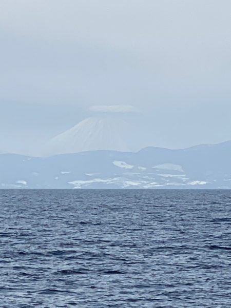 シーランチ 釣果