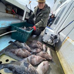 シーランチ 釣果