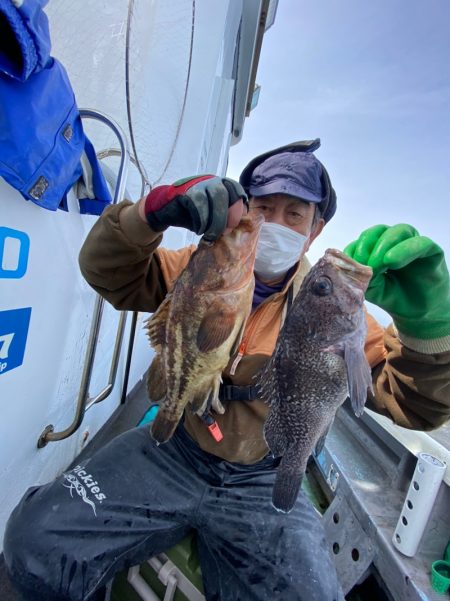 シーランチ 釣果