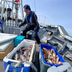 シーランチ 釣果