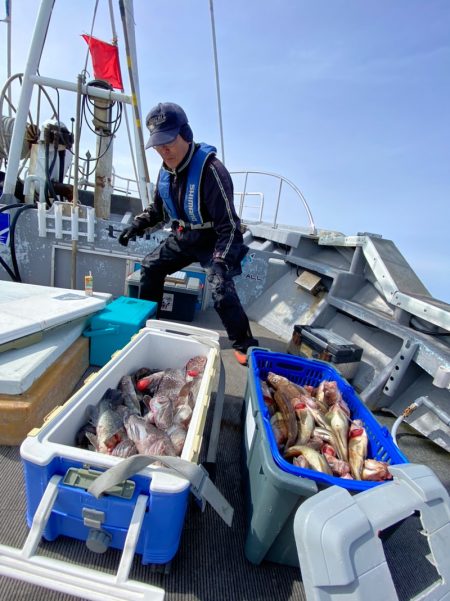 シーランチ 釣果