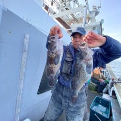シーランチ 釣果