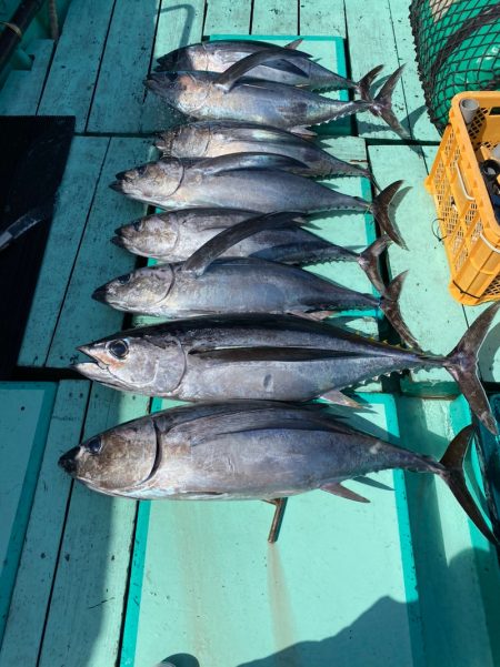 和栄丸 釣果
