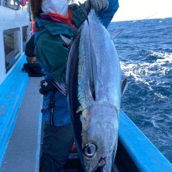 みやけ丸 釣果