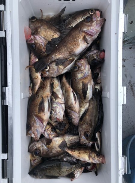 フィッシング キッタカ 釣果