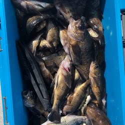 フィッシング　キッタカ 釣果