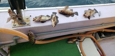 海龍丸（石川） 釣果