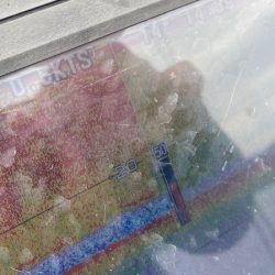 「LaGooN」蒼陽丸 日和号 釣果