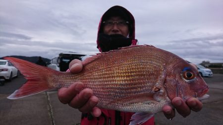第三共栄丸 釣果