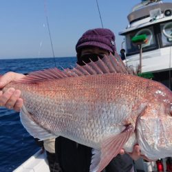 だて丸 釣果