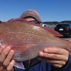 第三共栄丸 釣果