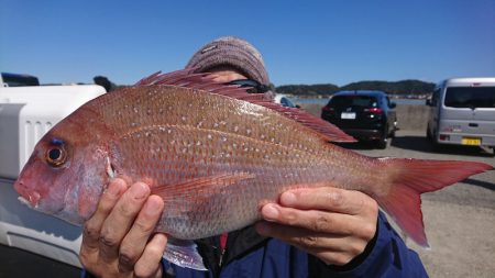 第三共栄丸 釣果